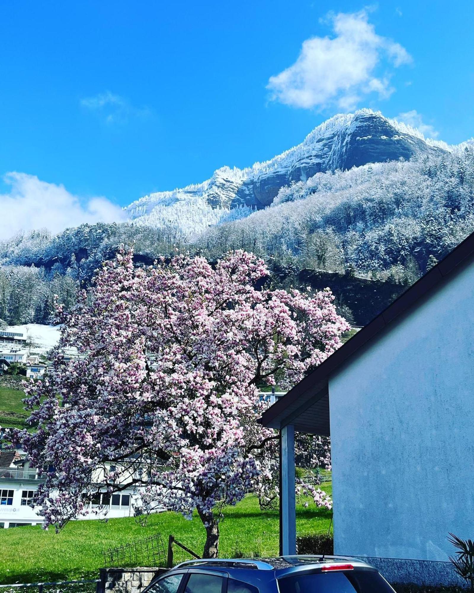 Chalet Oz Вицнау Экстерьер фото