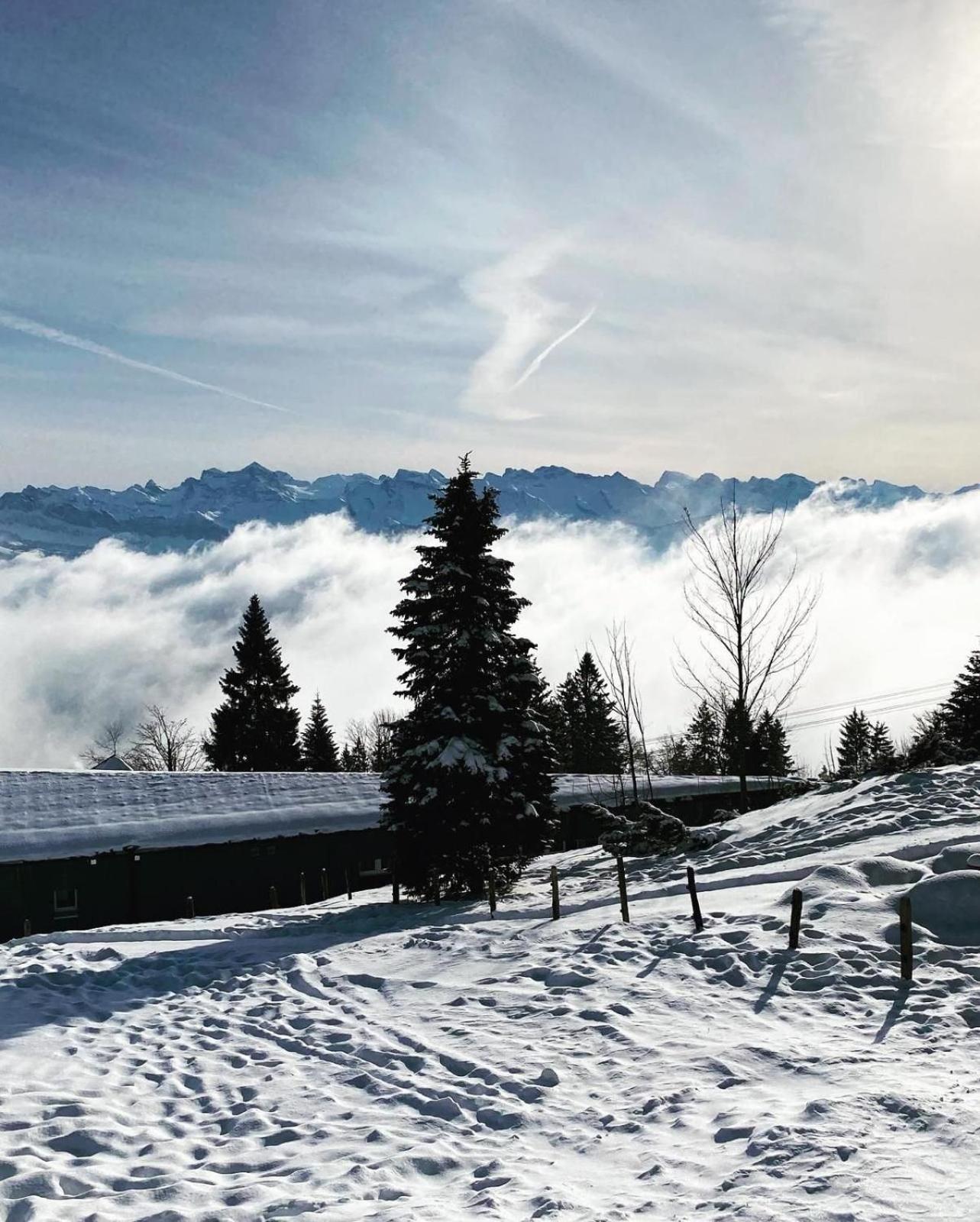 Chalet Oz Вицнау Экстерьер фото